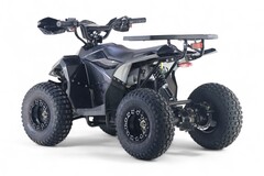 Детский электрический квадроцикл RiverToys LEON 1200W