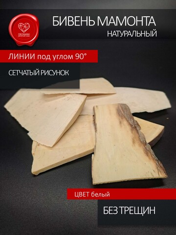 Бивень мамонта тонкая пластина