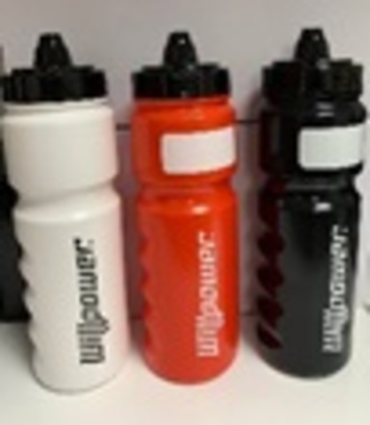 Бутылка WILLPOWER с клапаном 750 мл