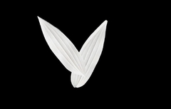 Силиконовый молд Вайнер лист гвоздики , лилии , гиацинта , альстромерии