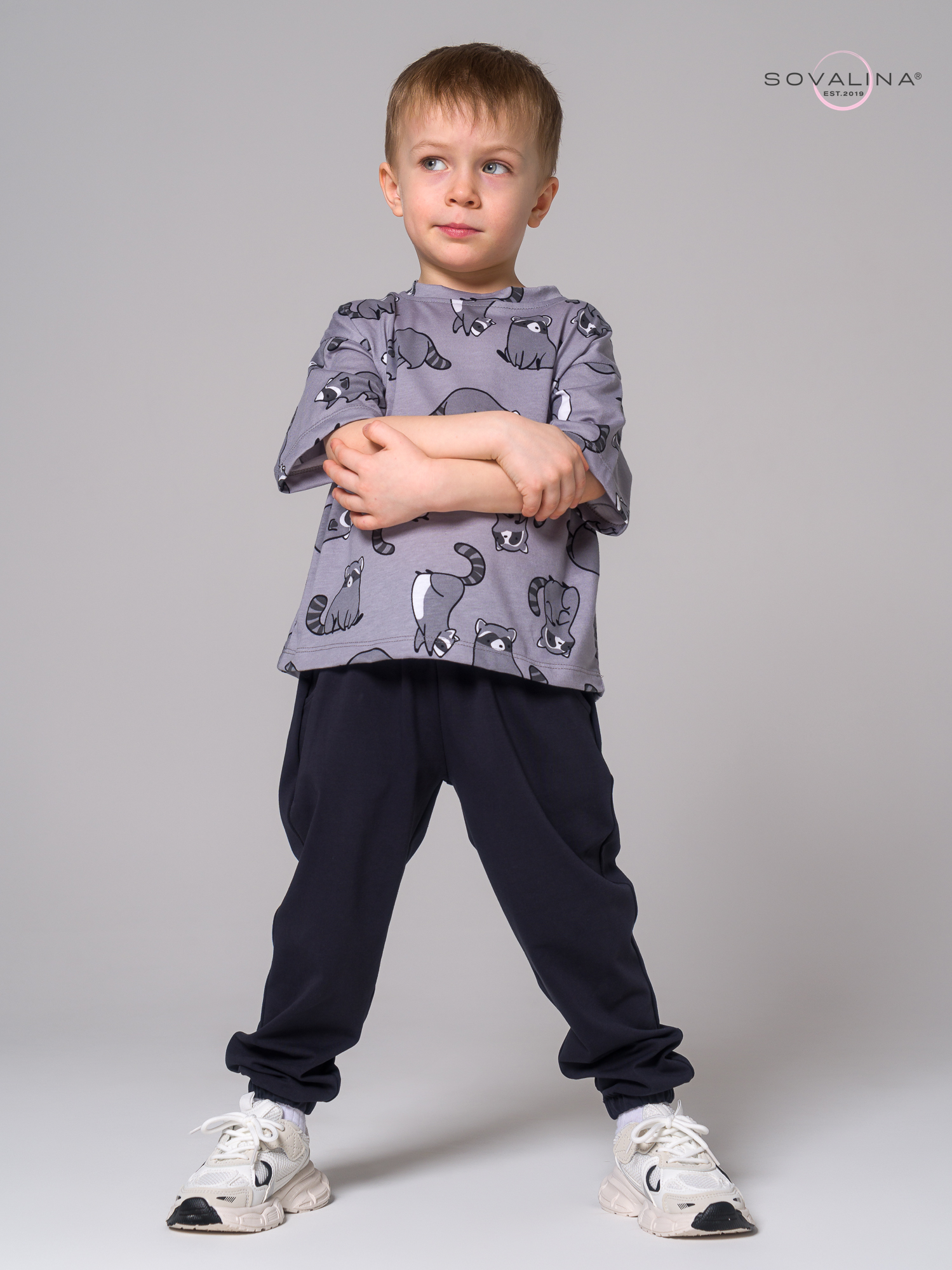 Костюм Daily men енотики серые-антрацит