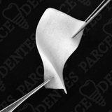 CORTICAL Membrane