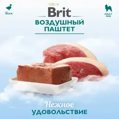 Brit Premium воздушный паштет для взрослых собак мини пород утка 100г