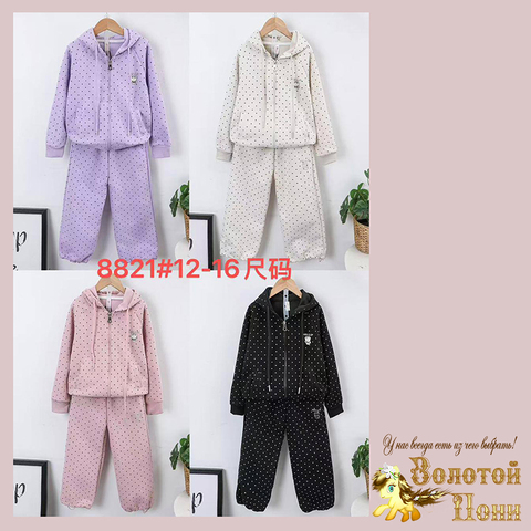 Костюм хлопок д (1-5) 260119-SL6084