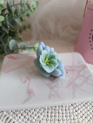 Силиконовая форма 