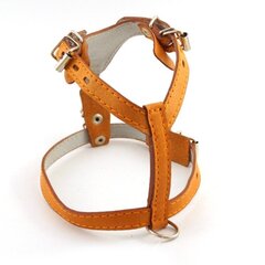 ZooMaster шлейка 15мм 50см