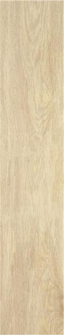 STN Tacora Beige Matt 22.7x119.5