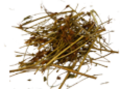 Зверобой (трава и цветки, 50гр.)  (Старослав)