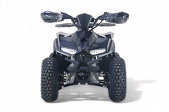 Детский электрический квадроцикл RiverToys LEON 1200W