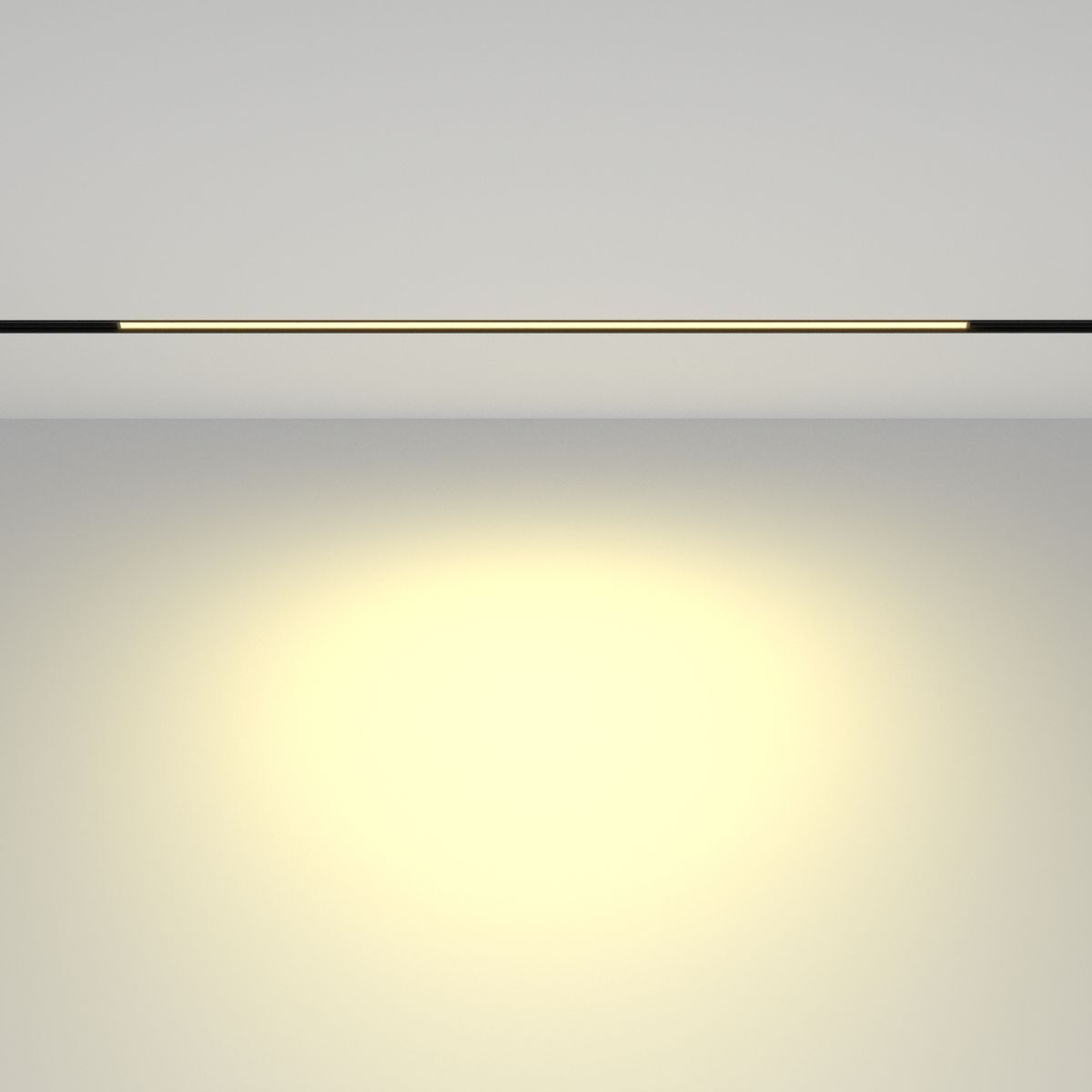 Трековый светодиодный светильник Maytoni Technical Basis TR030-2-24W2.7K-B