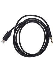 Кабель Aux Mini Jack 3,5 мм на Apple Lightning (100см)