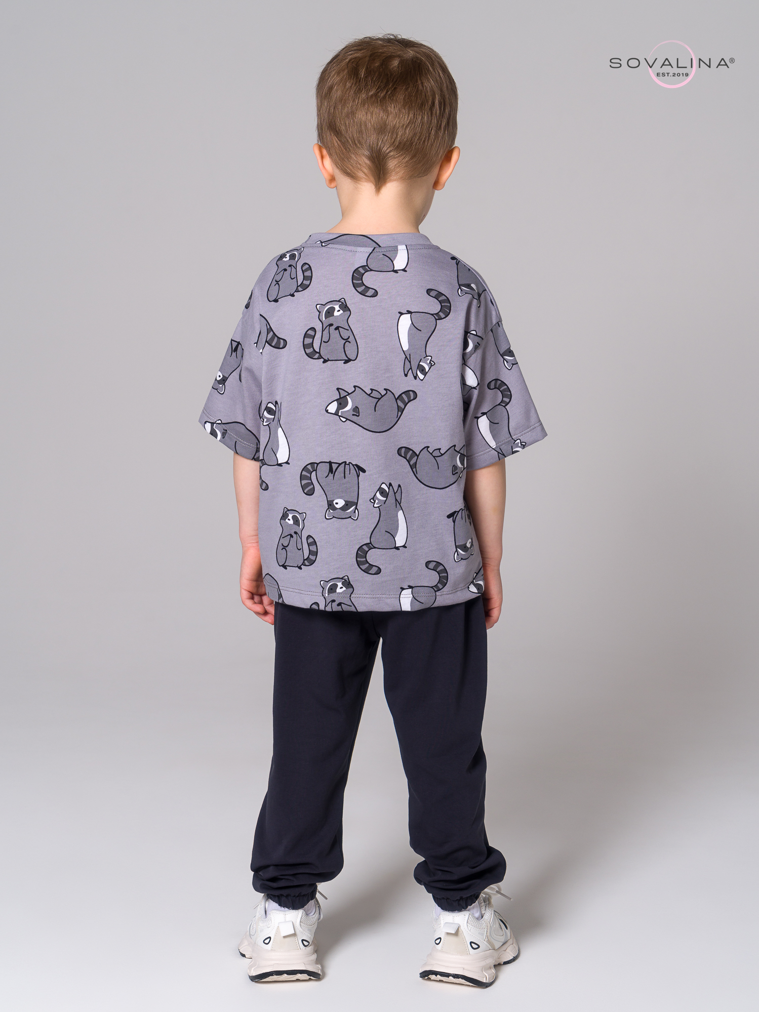 Костюм Daily men енотики серые-антрацит