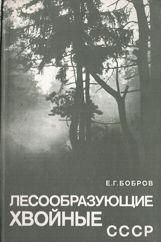 Лесообразующие хвойные СССР