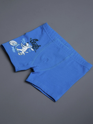 030_НБЛ25 Боксеры удлиненные (трусы) д/м, синий