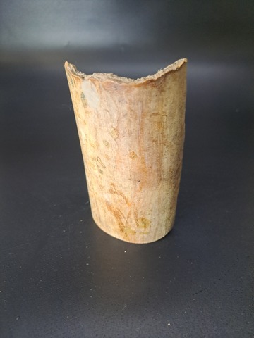 Бивень мамонта для коллекции и поделок