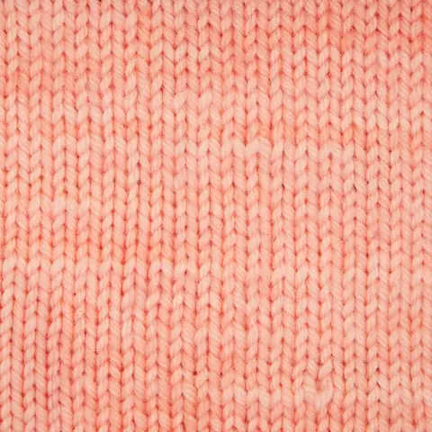 Symfonie Terra SS2023