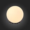 Светильник настенный ST Luce Botelli SL1581.401.01