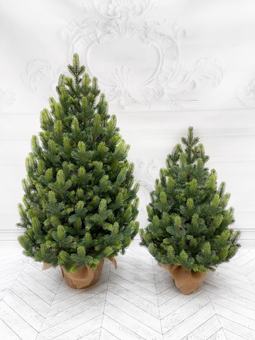 Ель TreeDeLuxe Кремлевская премиум 100 % литая 90см в мешочке зеленая