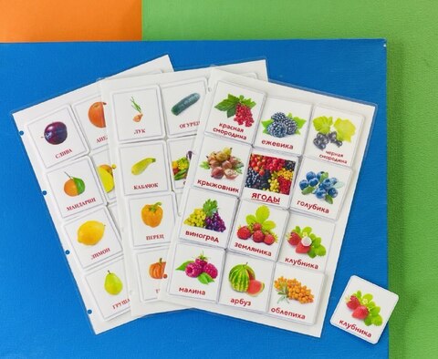Фрукты, овощи, ягоды. 12 карточек. Развивающее пособие на липучках Frenchoponcho(Френчопончо)