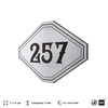 Номерок на дверь квартиры 257, для кабинета, офиса, шильдик 9 х 7 см, серебристый, Айдентика Технолоджи