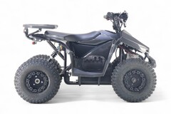 Детский электрический квадроцикл RiverToys LEON 1200W