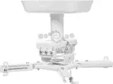 Кронштейн для проектора Cactus CS-PROF011S-WT белый макс.45кг потолочный поворот и наклон