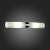 Светильник настенный ST Luce Tocia SL1301.101.02