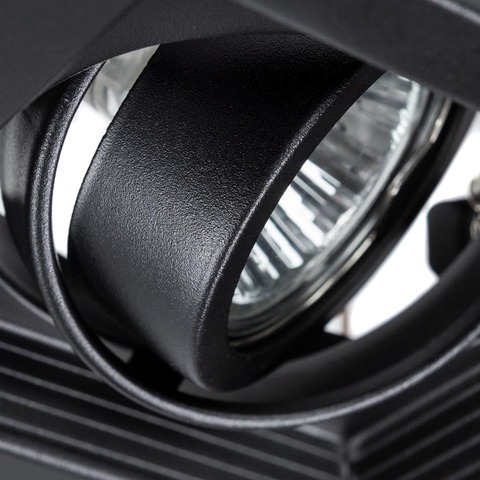 Светильник Arte Lamp Canis A6661PL-1BK