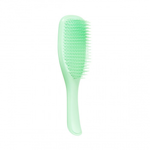 Расческа Tangle Teezer The Wet Detangler Mint Karma