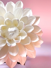 Молд пластиковый+вайнер силиконовый Н-39/1 набор лепестков хризантемы/георгина