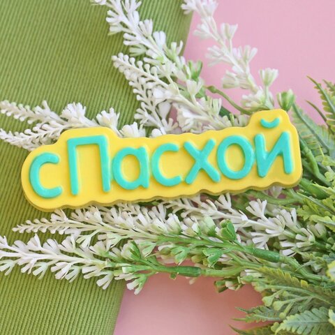 Пластиковая форма 