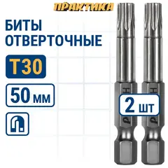 Бита отверточная ПРАКТИКА Профи Torx Tamper-30 х 50мм (2шт) (776-485)