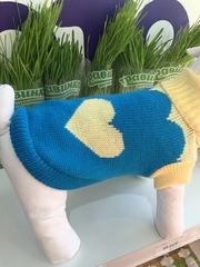 Свитер для мелких пород собак, с рисунком, шерсть