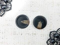 Пуговицы, d 2,1 см, чёрный с бежевым