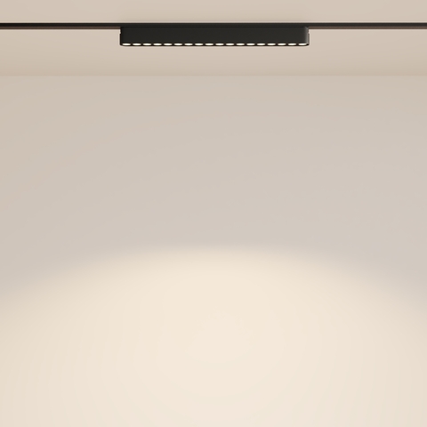 Магнитный трековый светильник Maytoni Points TR082-1-18W3K-M-B