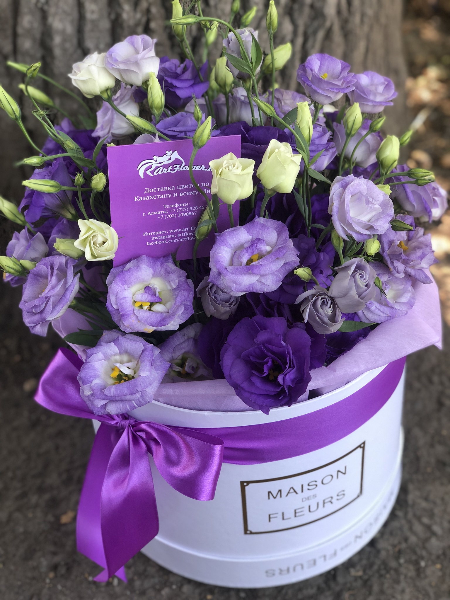 Цветы в фиолетовой коробке