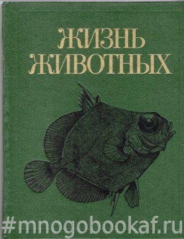 Жизнь животных. Том четвертый. Ланцетники. Круглоротые. Хрящевые рыбы. Костные рыбы