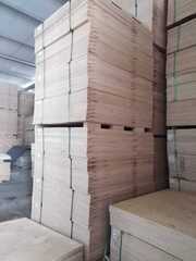 Фанера строительная 21*1525*1525 мм.