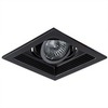 Светильник Arte Lamp Canis A6661PL-1BK