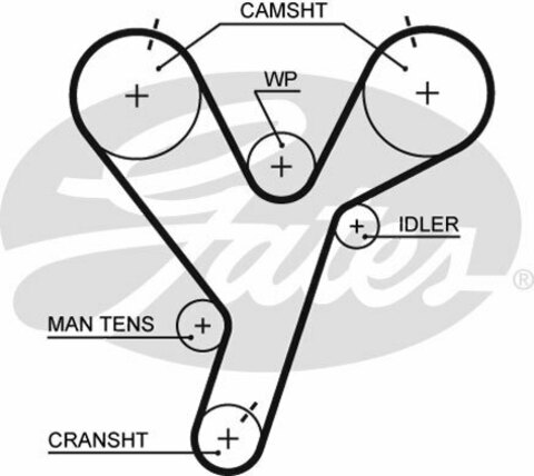 Ремень ГРМ GATES   5446XS (T259)