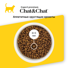 Chat&Chat Expert Premium сухой корм для котят (курица) 900г