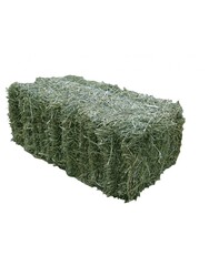 Сено луговое разнотравье 17 кг в пакете Самовывоз Софийская 93Д