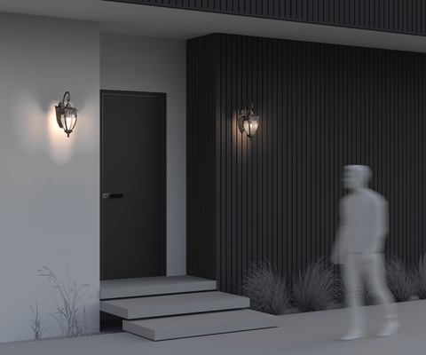 Уличный настенный светильник Maytoni  Fleur O414WL-01GB