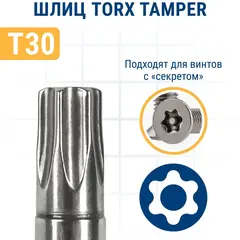 Бита отверточная ПРАКТИКА Профи Torx Tamper-30 х 50мм (2шт) (776-485)