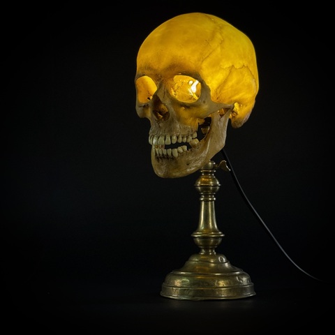 Настольная лампа «Череп человека»