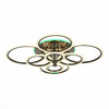 Светильник потолочный Evoled Cerina SLE500582-08RGB