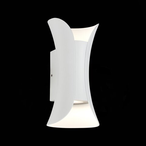 Светильник уличный ST Luce Cosetto SL1584.501.01