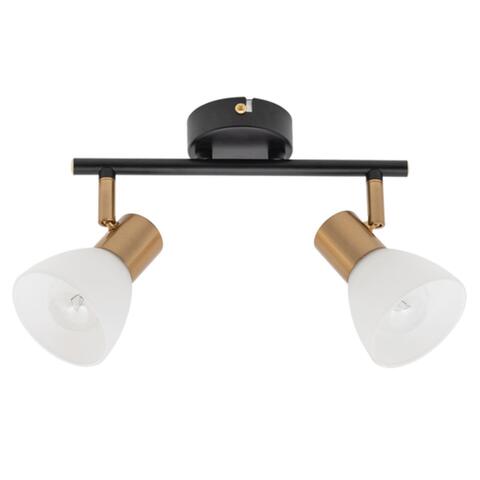 Потолочный светильник Arte Lamp FALENA A3117PL-2BK