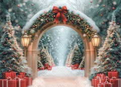 Арка зима 11.25 - фон неопреновый
