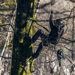 Цепная пила Greenworks GD40TCS 40V (25 см) одноручная аккумуляторная, без АКБ и ЗУ